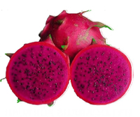 Fabriek Levering Premium Kwaliteit Dragon Fruit Zaden Dragon Fruit Poeder