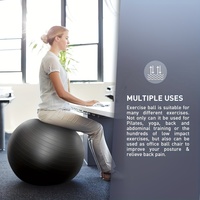 Ballon de yoga sur mesure 25 cm 65 cm Grand ballon de massage en forme d'arachide 65 cm Ballons de yoga