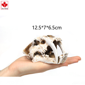 Tượng Đầu Lâu Hổ Răng Saber Mô Hình Nhựa Resin Quầy Bar Gia Đình Đồ Thủ Công Halloween Để Bàn Cổ Điển - Product Image 2