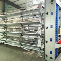 Système d'équipement avicole automatique pour poules pondeuses, cages en batterie de type H pour élevages de poulets pondeurs au Kenya