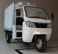 Tricycle motorisé à grande roue pour adulte, véhicule bon marché avec réfrigérateur, glace, 250cc, 2020