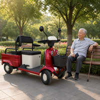 Scooter de Mobilité Électrique à 4 Roues, Moteur 650W, Batterie Plomb-Acide 48V, Boîte de Rangement, Contrôleur 12 Tubes, pour Personnes Âgées, Charge 250kg