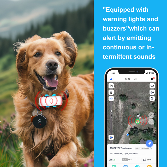 4G/2G Smart Pet GPS Tracker Collar with Real-Time Location Tracking for Dogs and Cats Pet  IP65 Waterproof Pet Tracker