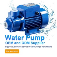 Pompe de surpression périphérique à vortex pour appareil résidentiel, double tension, fréquence personnalisée, norme d'exportation, directement de l'usine