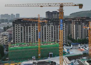 Used <strong>Tower</strong> <strong>Crane</strong> 25 Ton Rated Load Perfect Performance Including Transmission Motor Core Components 10/30 Tons Options Available - Product Image 5