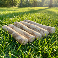 Jouet à mâcher pour chien en bois de café naturel, bâtonnet de dentition entièrement biodégradable, accessoire de mastication en bois pour chien
