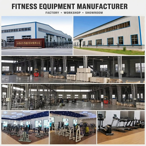 Équipement de Gymnastique Commercial de Haute Qualité DGZ, Machine Sportive, Équipement de Gym Complet, Usine de 30 000 m² Établie en 2018 dans le Shandong - Product Image 6