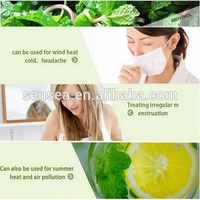 Huile de menthe cristalline en vrac, vente en gros, 100% naturelle, qualité cosmétique, matière première pour cosmétiques, aromathérapie, arôme alimentaire