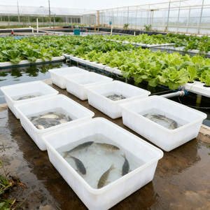 Bassin en plastique LLDPE de 1500 litres pour l'élevage de poissons, durable, de qualité alimentaire, empilable, 2160x1360x630mm, vente en gros - Product Image 1