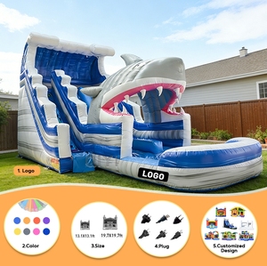 Toboggans aquatiques gonflables pour adultes en PVC de qualité commerciale pour l'extérieur, avec souffleur, pour fêtes aquatiques humides ou sèches - Product Image 2