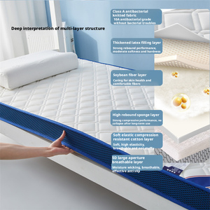 Materasso su Misura per Camera da Letto, Personalizzabile, Ipoallergenico, Topper per Materasso in Lattice - Product Image 5