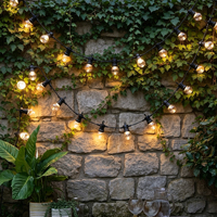 Guirlandes lumineuses d'extérieur 22,97 pieds G40 LED à brancher, 10 ampoules LED en plastique Edison, étanches IP65, à intensité variable, pour jardin, véranda