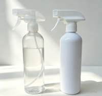 Bouteille pulvérisateur d'eau à gâchette en plastique noir de 300 ml, 500 ml, 700 ml avec étiquette personnalisée pour nettoyage automobile