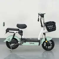 Bicicleta Eléctrica para Adultos, 500W, 48V, 20ah, Motor sin Escobillas, Batería de Plomo-Ácido