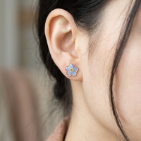 Anting-anting bunga awet alami ramah lingkungan dari resin Forget-Me-Not dengan bahan stainless steel, pemasok OEM/ODM