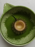 100% Pure Organic SBY Ceremonial Grade Matcha Green Tea Powder, HALAL JAS ECOCERT Certified