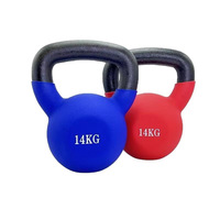 Kettlebells en fonte revêtues de plastique pour hommes et femmes - Équipement de fitness à domicile avec poignée colorée pour l'entraînement des fessiers et des bras