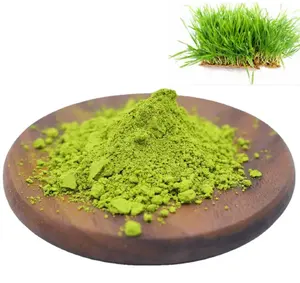 Polvo de jugo de hierba de trigo de alta calidad antioxidante seco de alimentos de nutrición bio-disponible soluble fácil