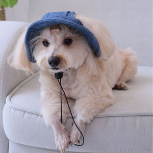 Chapeau de pêcheur pour chien, avec ouvertures pour les oreilles, réglable, pour petites et grandes races, utilisation quatre saisons - Product Image 4