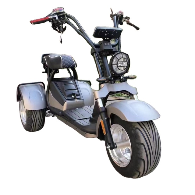 Fat Tire Citycocol Wholesale 2000w 3 Wheel Scooter Hub Motor Waterproof Electric Scooter