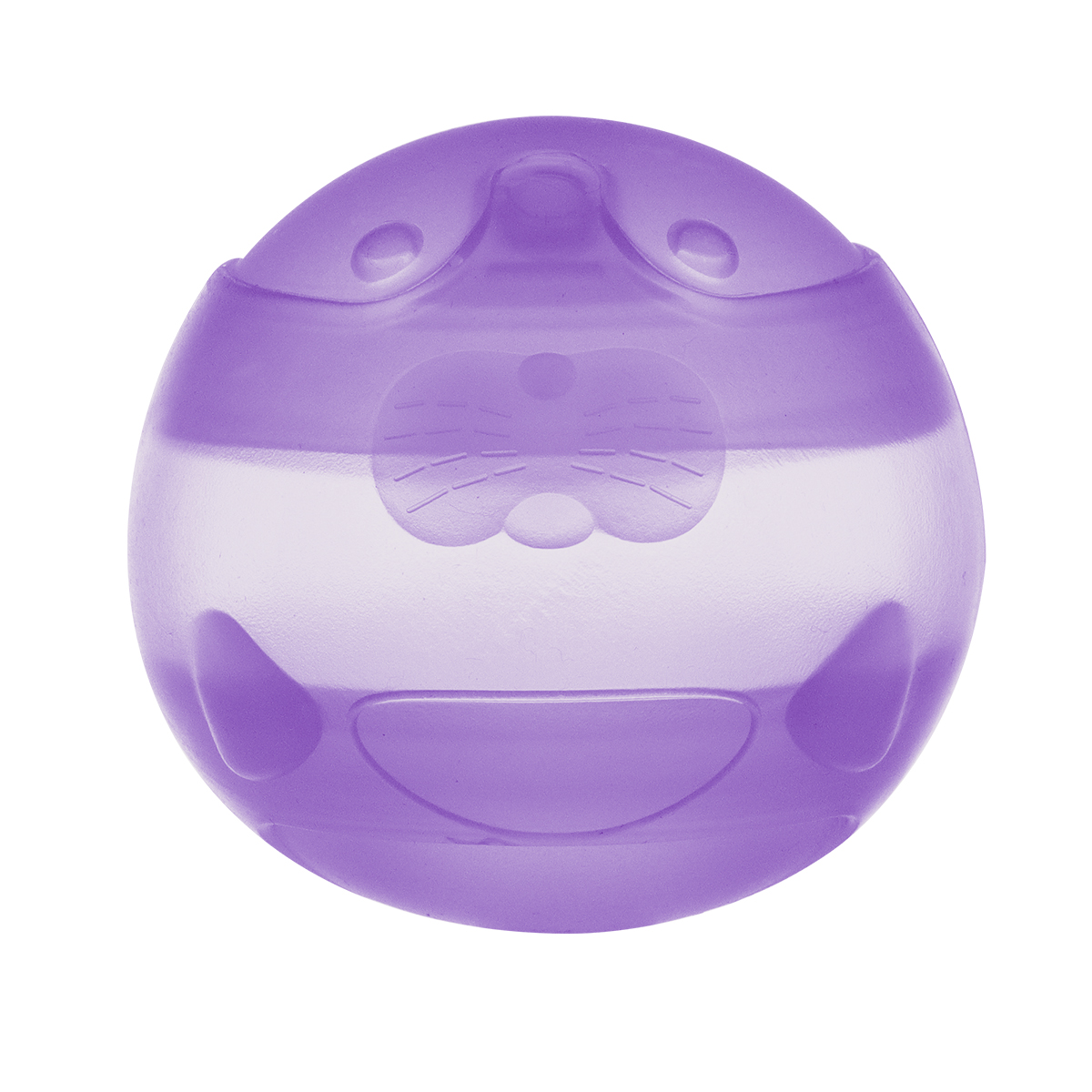 Viola