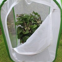 Cage d'observation des papillons en maille polyester pliable pour l'été, filet anti-insectes pour animaux de compagnie, vente en gros