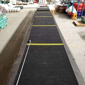 Alfombrillas de PVC antideslizantes para coche Tesla modelo <span class=keywords><strong>3</strong></span>, alfombrillas de goma 3D personalizadas, impermeables, recién llegadas - Product Image 6