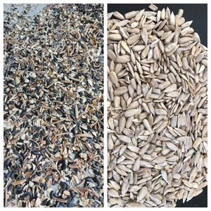 Macchina automatica per la selezione di semi di girasole ad alta velocità di smistamento del colore dei semi di zucca per vari semi di fagioli - Product Image 6