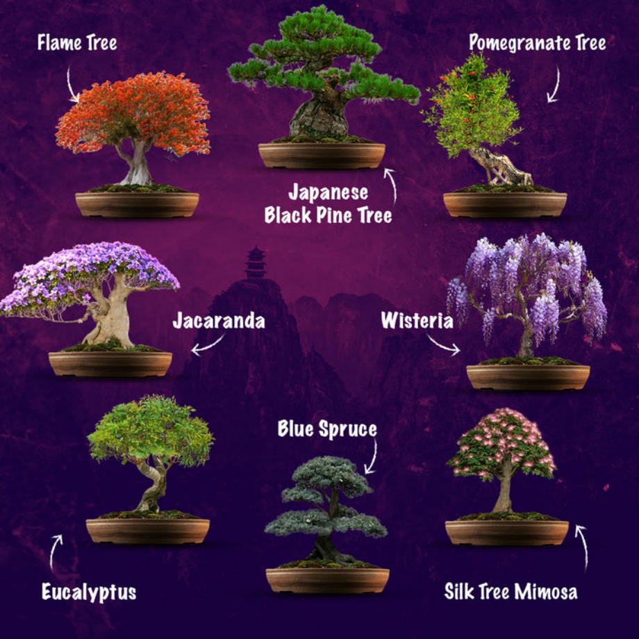 künstliche bonsai pflanzen Cedar Bonsai main image 1
