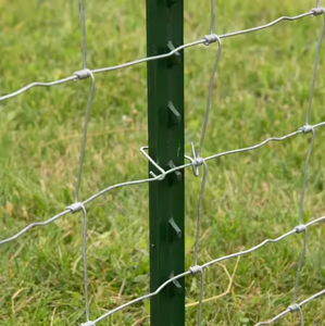 Palo a T in Metallo Resistente Stile USA / Palo per Recinzione Verde in Acciaio a Basso Tenore di Carbonio - Product Image 6