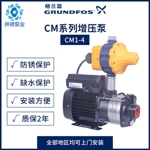 Grundfos Cm1 4 Booster <b>Pump</b> 1 Hp Centrifugal <b>Water</b> <b>Pump</b> For Home Use - Product Image 3