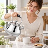 Bouilloire sifflante en acier inoxydable 2,5 L 3 L avec poignée en nylon résistante à la chaleur pour cuisinière à gaz et à induction