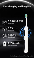 Cepillo de dientes eléctrico recargable con levitación magnética, cepillo de dientes sónico eléctrico para adultos con cerdas suaves, para limpieza dental en pareja
