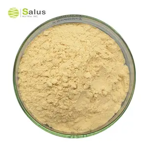 Gynostemma Extract Powder With Gypenosides 98% For Organically Grown | Improve Overall Health | Longevity Antiaging