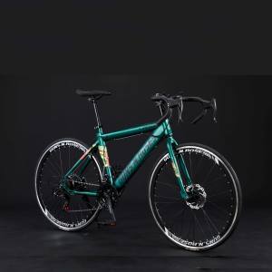 OEM bicicleta de carretera profesional 700C bicicleta con freno de disco R10 RS 21 velocidad horquilla de acero venta a precio barato - Product Image 5