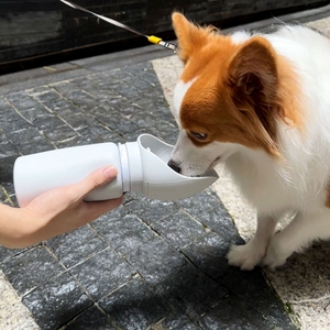 Bouteille d'eau pliable portable pour chien avec moule en silicone intégré – Bouteille d'eau de voyage personnalisée pour animaux de compagnie - Product Image 2