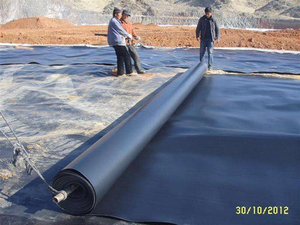 Lãnh Đạo Chất Lượng Tốt HDPE Geomembrane /Geocell Sheets Tấm Chống Thấm Máy Đùn + 86 13361497218 - Product Image 6