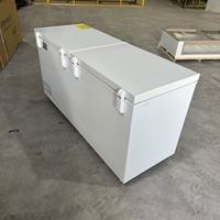 Congélateur coffre commercial grande capacité en acier inoxydable avec contrôle intelligent de la température pour congélation rapide des glaces