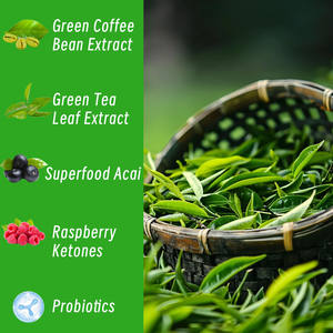 थोक उच्च गुणवत्ता वाली हरी कॉफी बीन निकालने की गोलियां भूख को नियंत्रित करने के लिए पाचन स्वास्थ्य सहायता का समर्थन करती है ऊर्जा टैबलेट - Product Image 3