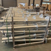 Pieux de vis de terre moulus galvanisés d'acier au carbone d'immersion chaude pour la base profonde de construction