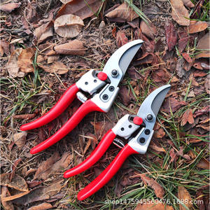 กรรไกรตัดแต่งกิ่งฮิไซจิโระ 702 ใบมีดเหล็กทรงปากนก ด้ามจับกันลื่นสำหรับตัดกิ่งต้นไม้ผลไม้ - Product Image 1