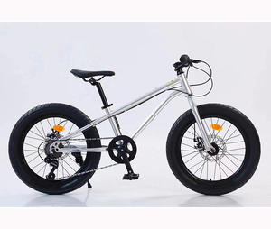 Vélo de montagne à pneus larges pour enfants de 12 ans, bébé, 20-26 pouces, 27 vitesses, frein à disque, cadre en acier, selle confortable - Product Image 1
