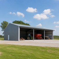 Bâtiment Agricole en Acier Sur Mesure Conforme CE – Meilleur Prix, Résistance à la Corrosion, Entrepôt Métallique, Atelier, Ferme