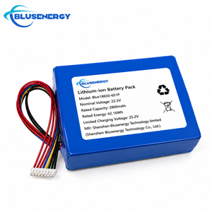 Batterie lithium-ion 18650-6S1P à performance stable, 22,2 V, 2800 mAh, avec câble PCM, pour outils de jardin, aspirateurs, robots intelligents - Product Image 1