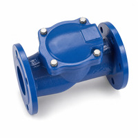 Clapet anti-retour à bride en fonte ductile PN16 pour conduites d'alimentation en eau et de protection incendie