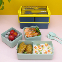 Boîte à lunch en plastique avec sac isotherme, boîte à lunch bento compatible micro-ondes, récipient alimentaire sans BPA, ensemble de boîtes à lunch en plastique