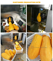 Machine à éplucher les tomates, les carottes, les pommes de terre, le gingembre, les mangues, le manioc, les fruits, les pommes, les poires, les oranges, certifiée CE