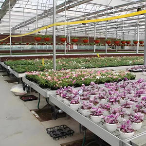 Vente directe Grande table de <span class=keywords><strong>jardin</strong></span> pour plantes d'intérieur avec chaleur mobile Plateau roulant <span class=keywords><strong>en</strong></span> <span class=keywords><strong>zinc</strong></span> Couverture <span class=keywords><strong>en</strong></span> feuille de PC - Product Image 4