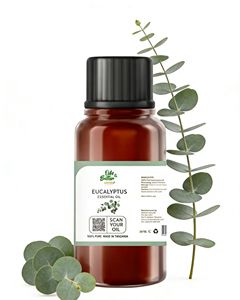Huile d'eucalyptus pure Mrembo Naturals, distillée à la vapeur, revitalisant et hydratant pour la peau, pour le bain et les soins capillaires, usage quotidien - Product Image 3