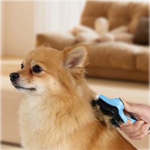 2026 <b>Pet</b> Portable Custom 3 Color Plastic Silicone Cat Dog Grooming <b>Brush</b> for Promotion - Product Image 3